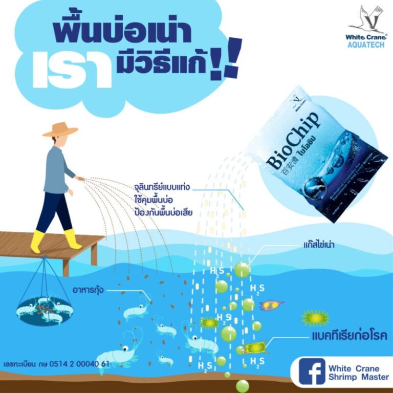 การทำงานของไบโอชิป