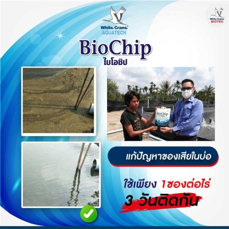 รีวิวไบโอชิป-ของเสียพื้นบ่อ