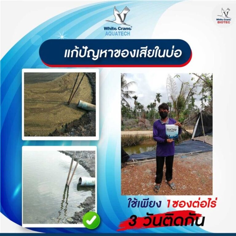 รีวิวไบโอชิป-ของเสียพื้นบ่อ